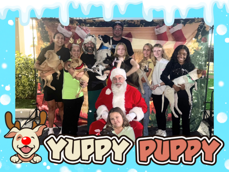 Yuppy Puppy Event Santa Paws