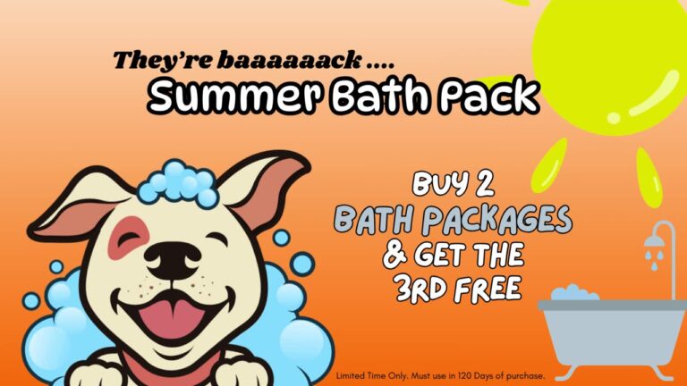 Summer Bath Pack — buy 2 bath packages, get the 3rd free