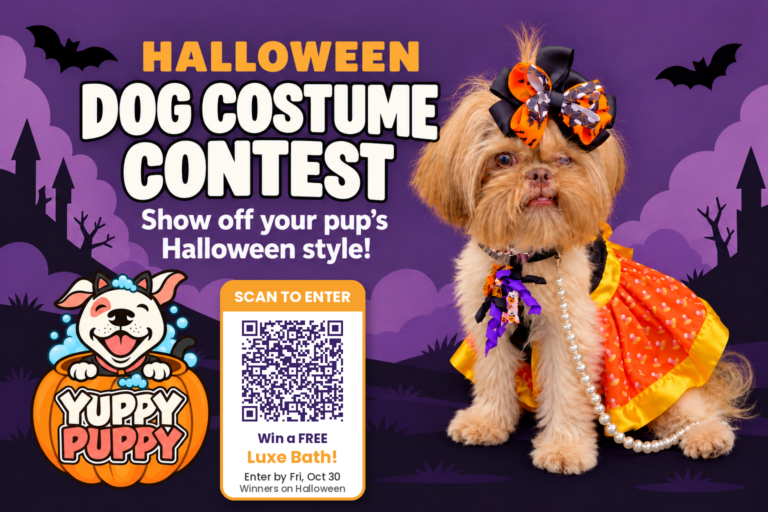 Yuppy Puppy Halloween Dog Costume Contest 2026 — Hanna Mae in her orange costume. Enter by October 30 for a chance to win a free Luxe Bath.