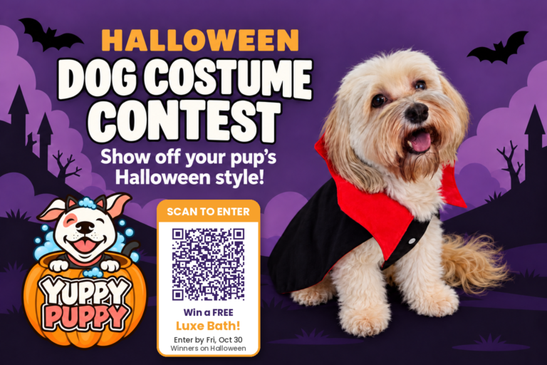 Yuppy Puppy Halloween Dog Costume Contest 2026 — Jamie in a vampire costume. Enter by October 30 for a chance to win a free Luxe Bath.