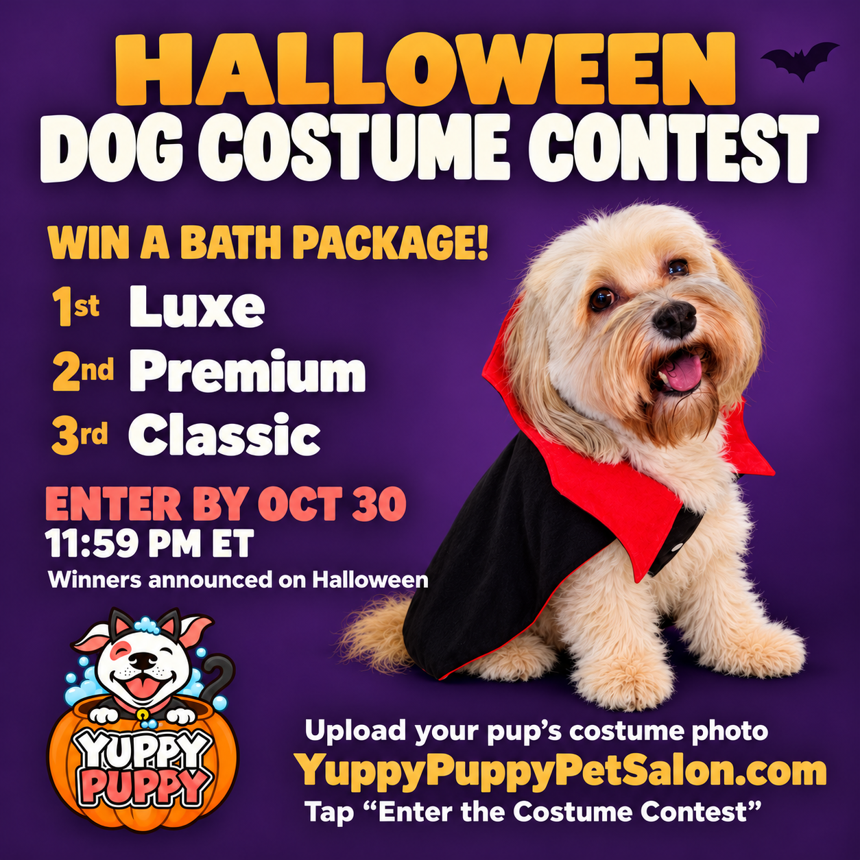 A previous Yuppy Puppy costume contest winner in a vampire cape, alongside the Halloween contest details and Spot’s pumpkin logo.